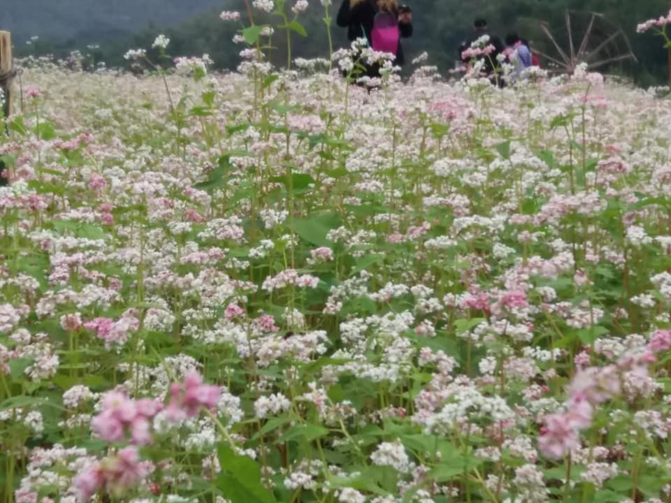 Mai Chau Xanh Bungalow المظهر الخارجي الصورة