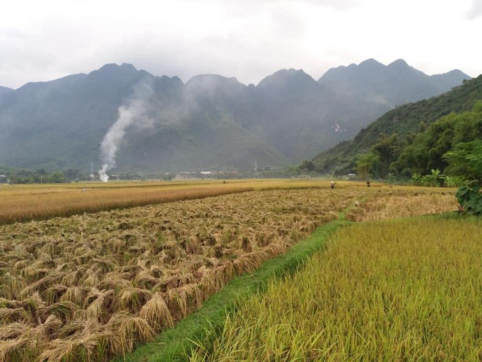 Mai Chau Xanh Bungalow المظهر الخارجي الصورة