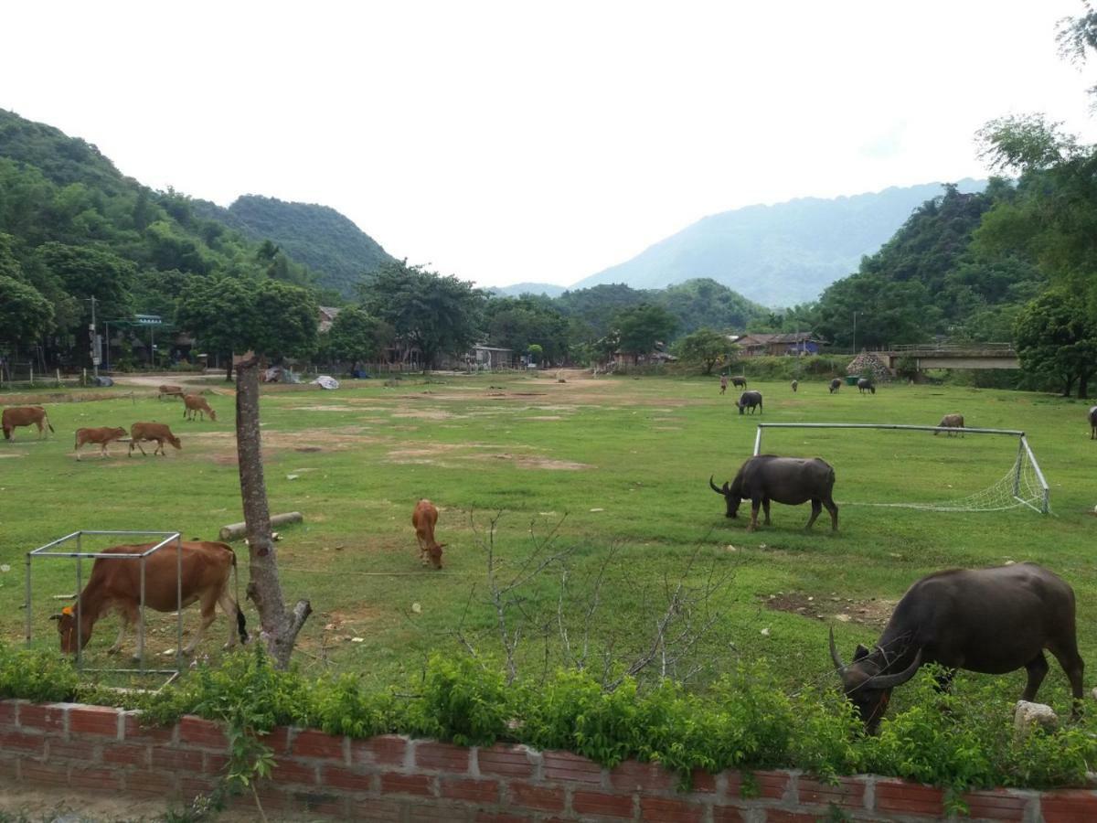 Mai Chau Xanh Bungalow المظهر الخارجي الصورة